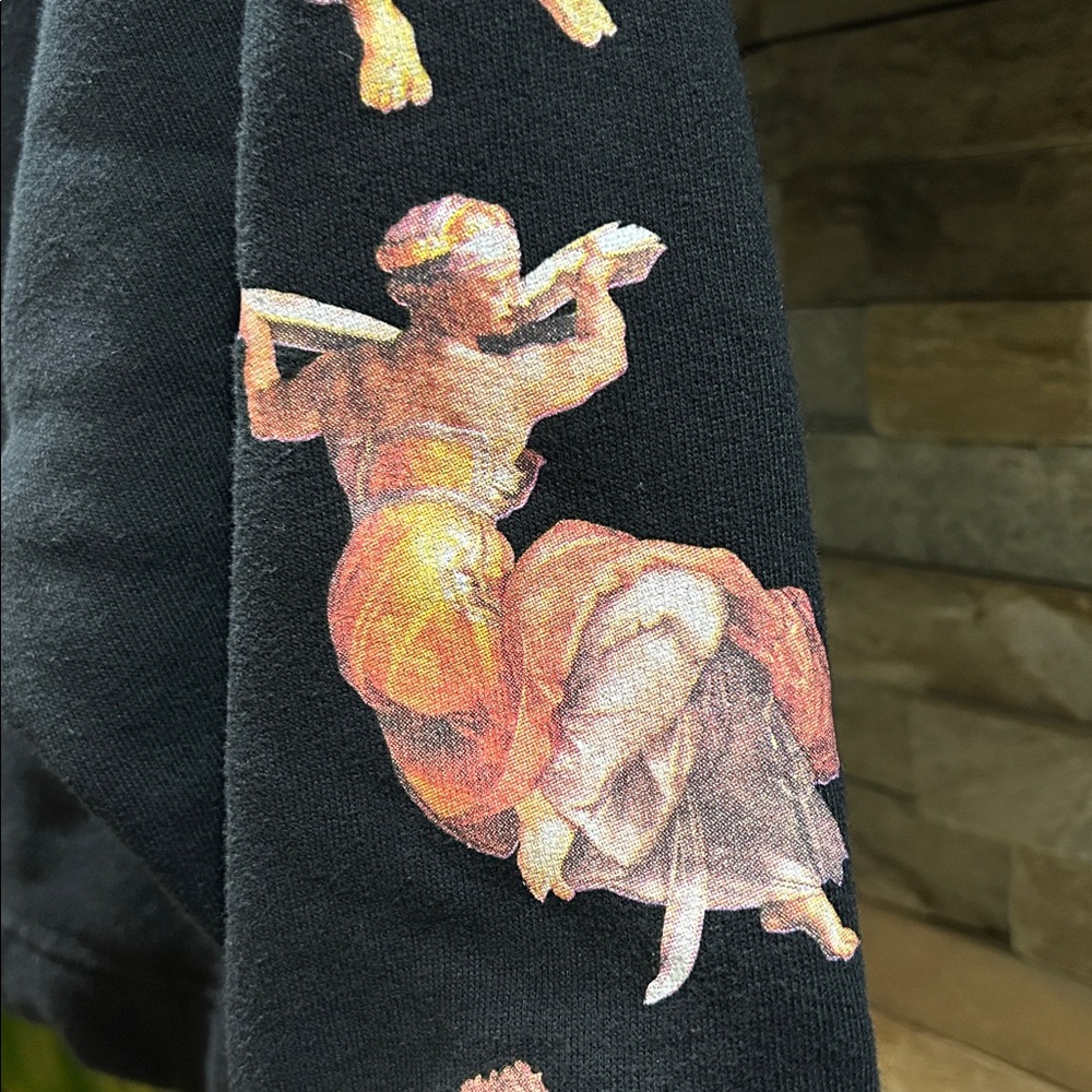 ZARA Sistine Chapel Cropped Hoodie - Picture 6 of 13